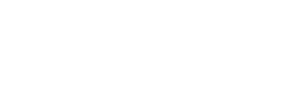 Logo Sonax